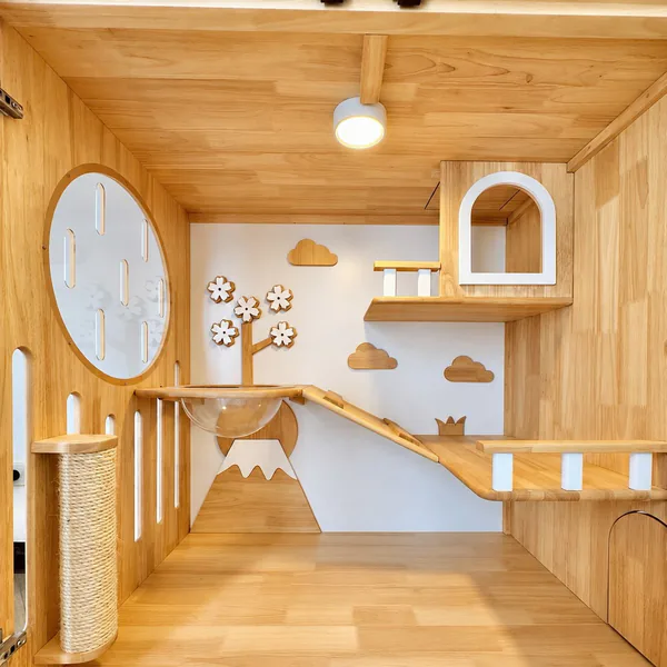 Inside the cat room: wooden climbing shelves, a ramp, a round window and a scratching post