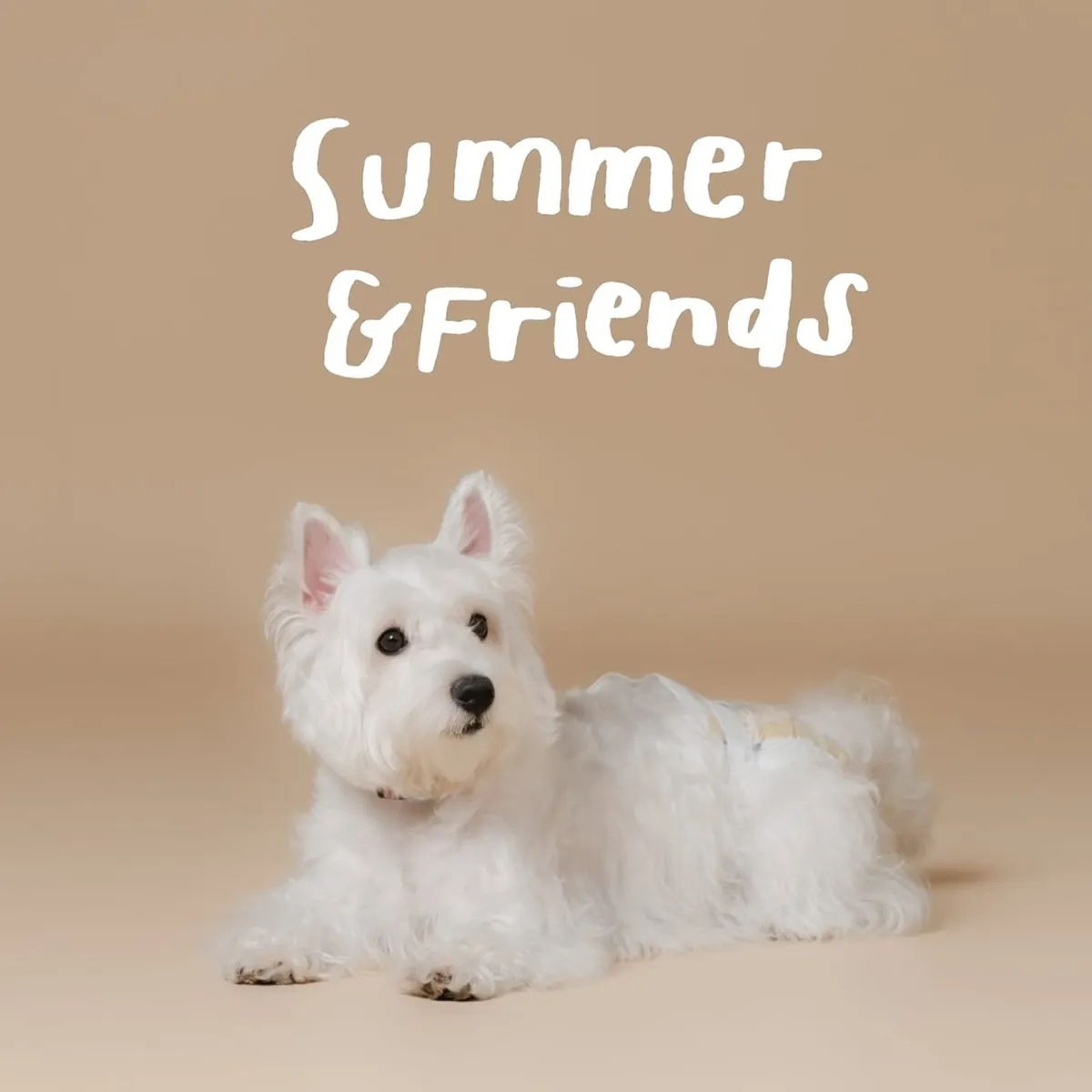 Summer & Friends lettering above a freshly groomed West Highland white terrier lying on a beige studio backdrop