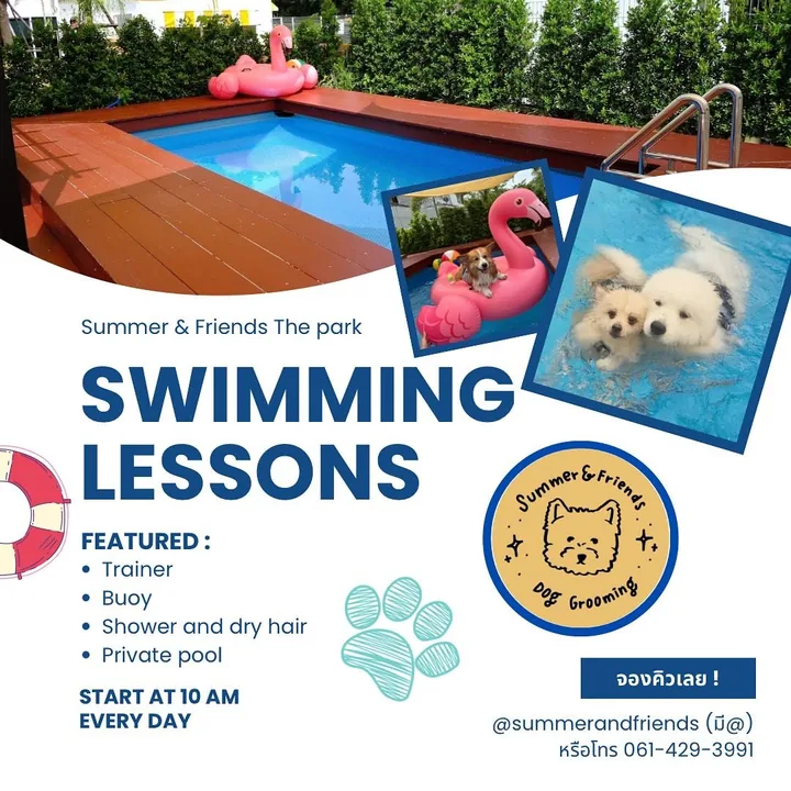 Swimming lessons poster: a private pool with a flamingo float, and two dogs swimming